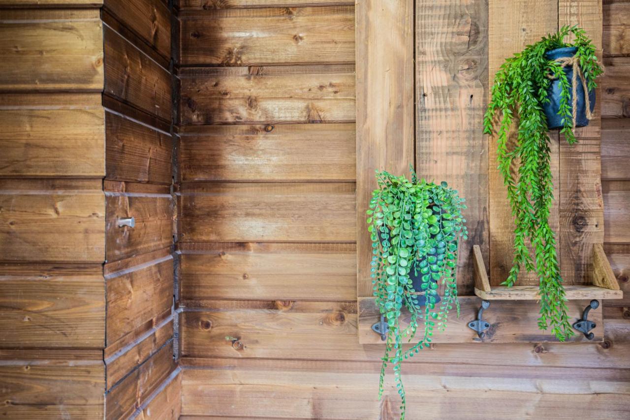 Ferienwohnung Rainbow, Rue Carnot Annecy Exterior foto